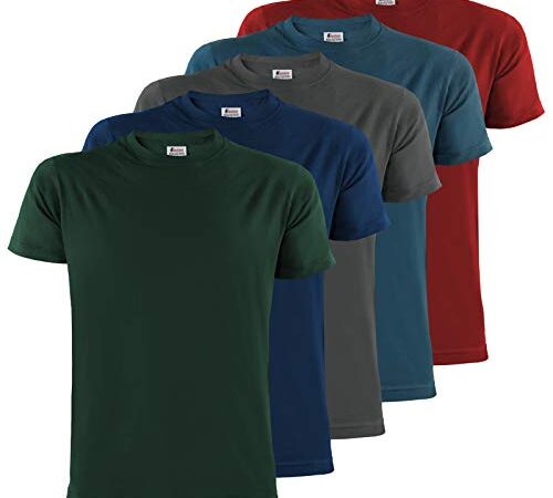 ALPIDEX T-Shirt Magliette da Uomo Confezione da 5 con Girocollo - Taglie S M L XL XXL 3XL 4XL 5XL, Taglia:XXL, Colore:Earth