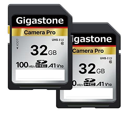 Gigastone Scheda di memoria SDHC da 32 GB, fotocamera Pro seriale, confezione da 2 schede, velocità fino a 100 MB/s. Compatibile con fotocamera Canon Nikon Sony Videocamera A1 U1 V10 UHS-I Classe 10