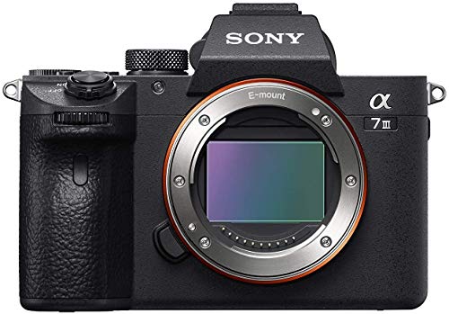 30 Miglior sony a7 iii nel 2024 [basato su 50 recensioni di esperti]